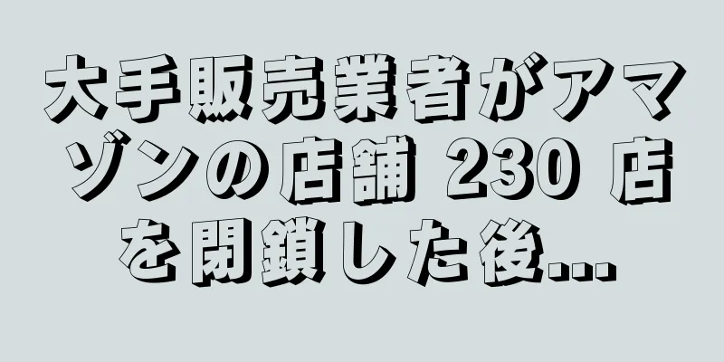 大手販売業者がアマゾンの店舗 230 店を閉鎖した後...