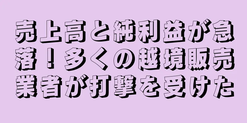 売上高と純利益が急落！多くの越境販売業者が打撃を受けた