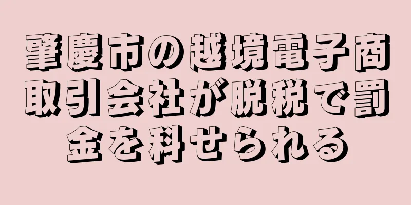 肇慶市の越境電子商取引会社が脱税で罰金を科せられる