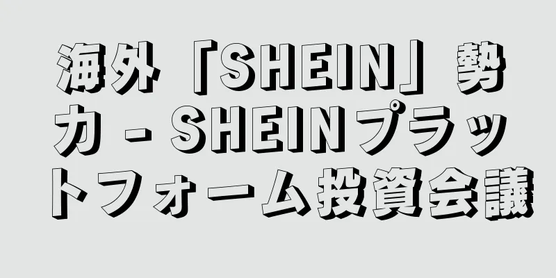 海外「SHEIN」勢力 - SHEINプラットフォーム投資会議