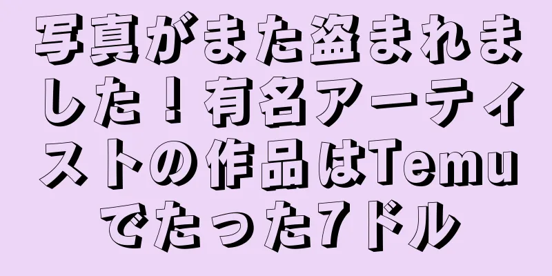 写真がまた盗まれました！有名アーティストの作品はTemuでたった7ドル