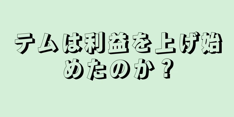 テムは利益を上げ始めたのか？