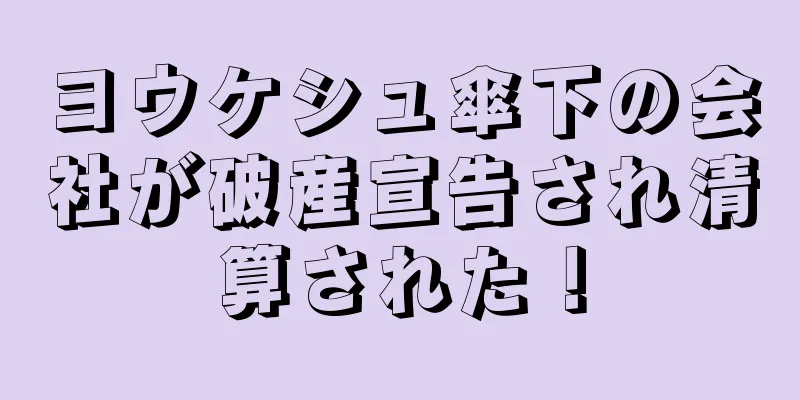 ヨウケシュ傘下の会社が破産宣告され清算された！