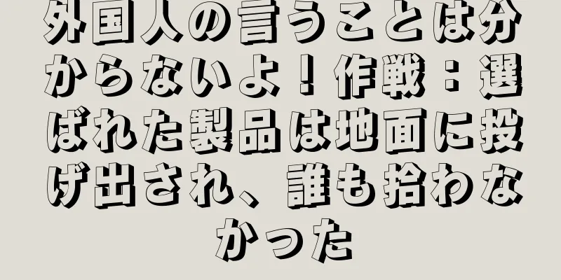外国人の言うことは分からないよ！作戦：選ばれた製品は地面に投げ出され、誰も拾わなかった
