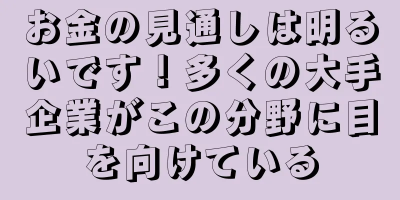 お金の見通しは明るいです！多くの大手企業がこの分野に目を向けている