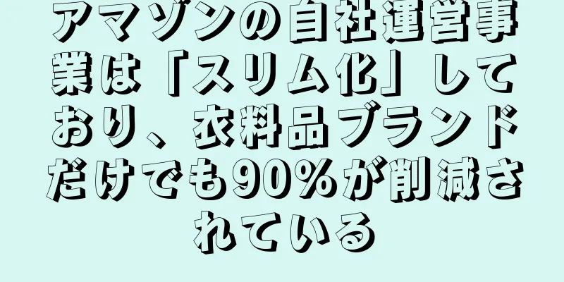 アマゾンの自社運営事業は「スリム化」しており、衣料品ブランドだけでも90％が削減されている