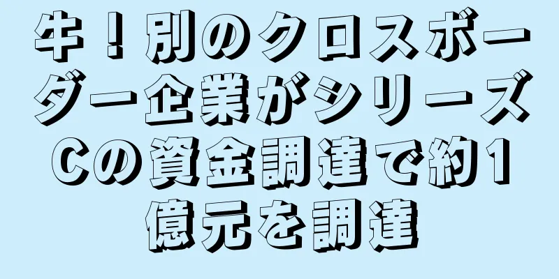 牛！別のクロスボーダー企業がシリーズCの資金調達で約1億元を調達