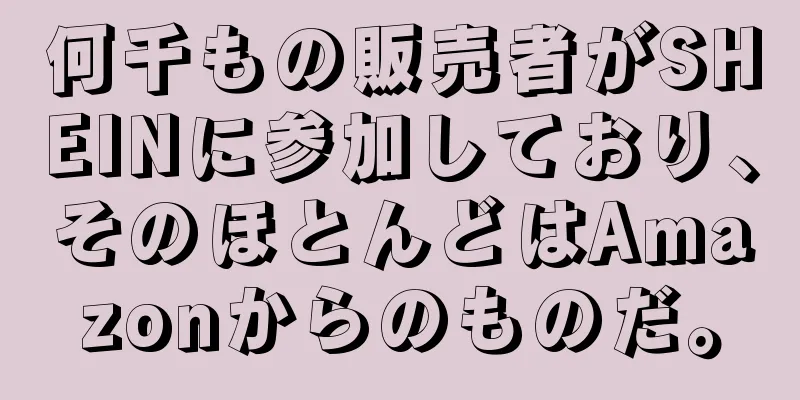 何千もの販売者がSHEINに参加しており、そのほとんどはAmazonからのものだ。