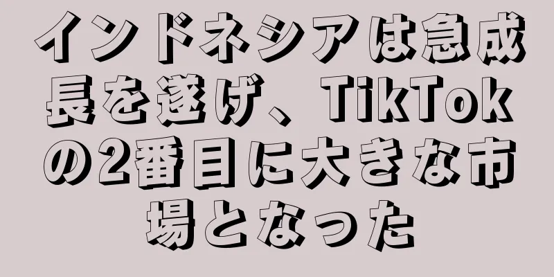 インドネシアは急成長を遂げ、TikTokの2番目に大きな市場となった
