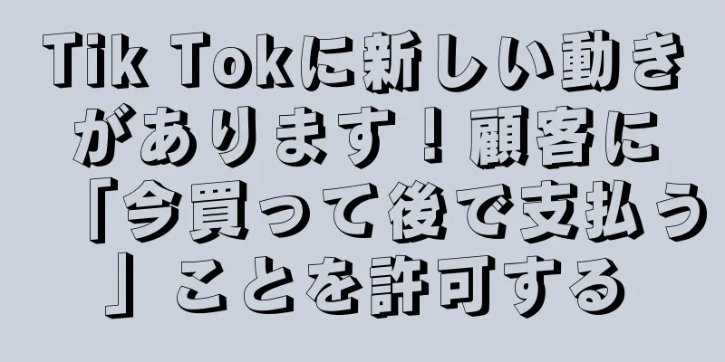 Tik Tokに新しい動きがあります！顧客に「今買って後で支払う」ことを許可する