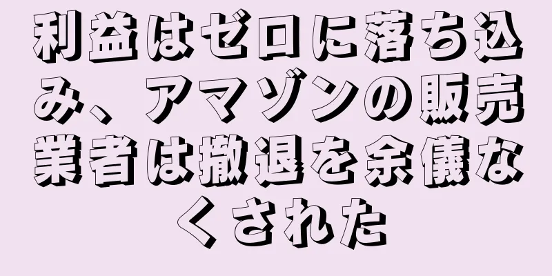 利益はゼロに落ち込み、アマゾンの販売業者は撤退を余儀なくされた