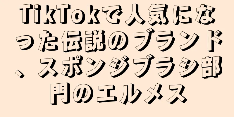 TikTokで人気になった伝説のブランド、スポンジブラシ部門のエルメス