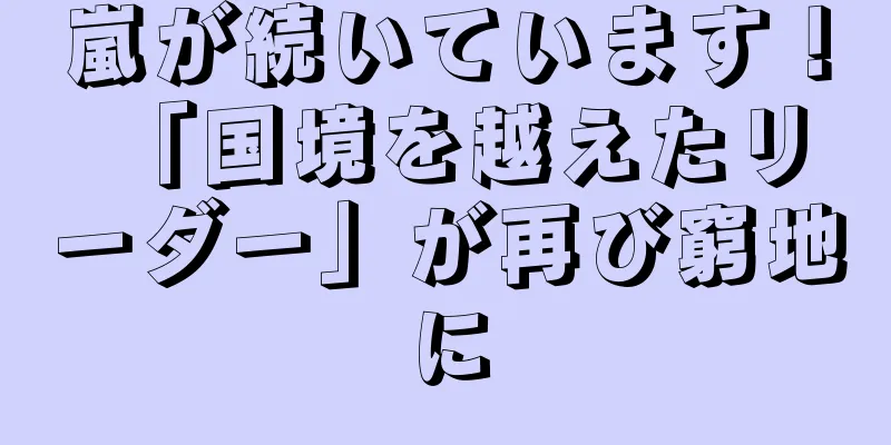 嵐が続いています！ 「国境を越えたリーダー」が再び窮地に