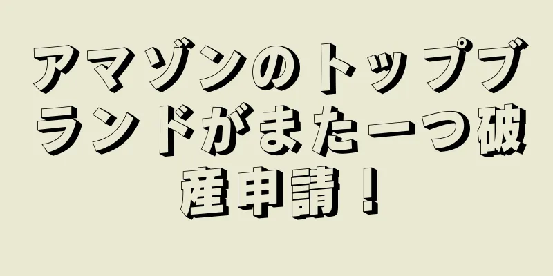 アマゾンのトップブランドがまた一つ破産申請！