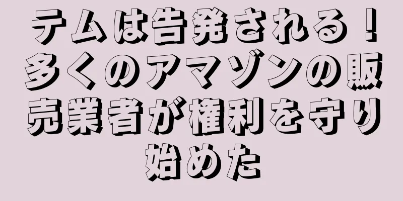 テムは告発される！多くのアマゾンの販売業者が権利を守り始めた