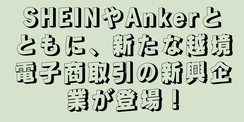 SHEINやAnkerとともに、新たな越境電子商取引の新興企業が登場！