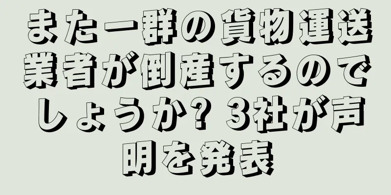 また一群の貨物運送業者が倒産するのでしょうか? 3社が声明を発表