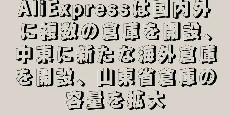 AliExpressは国内外に複数の倉庫を開設、中東に新たな海外倉庫を開設、山東省倉庫の容量を拡大