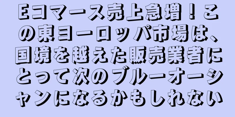Eコマース売上急増！この東ヨーロッパ市場は、国境を越えた販売業者にとって次のブルーオーシャンになるかもしれない