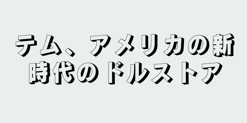 テム、アメリカの新時代のドルストア
