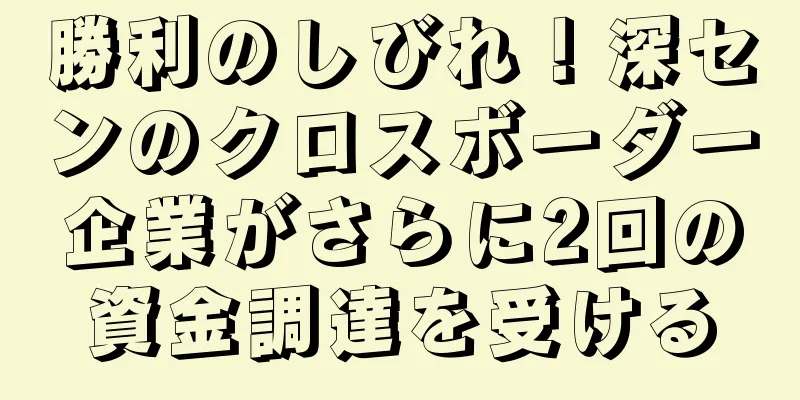 勝利のしびれ！深センのクロスボーダー企業がさらに2回の資金調達を受ける