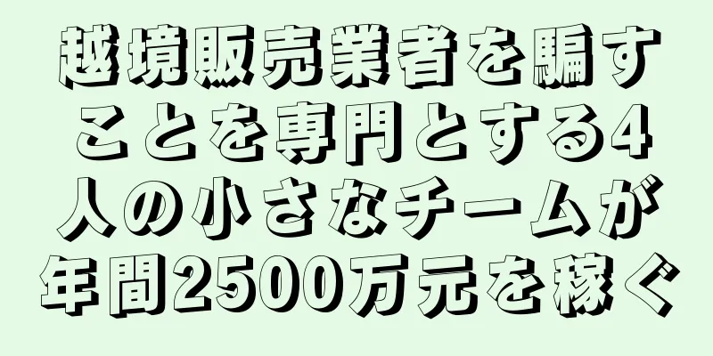 越境販売業者を騙すことを専門とする4人の小さなチームが年間2500万元を稼ぐ