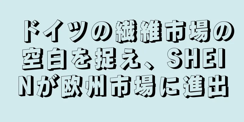 ドイツの繊維市場の空白を捉え、SHEINが欧州市場に進出