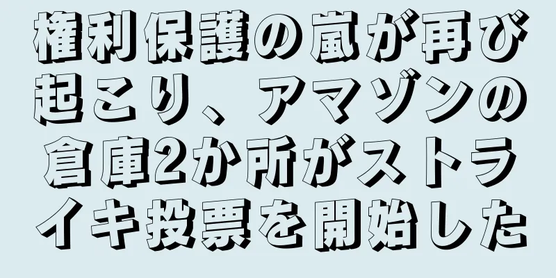 権利保護の嵐が再び起こり、アマゾンの倉庫2か所がストライキ投票を開始した