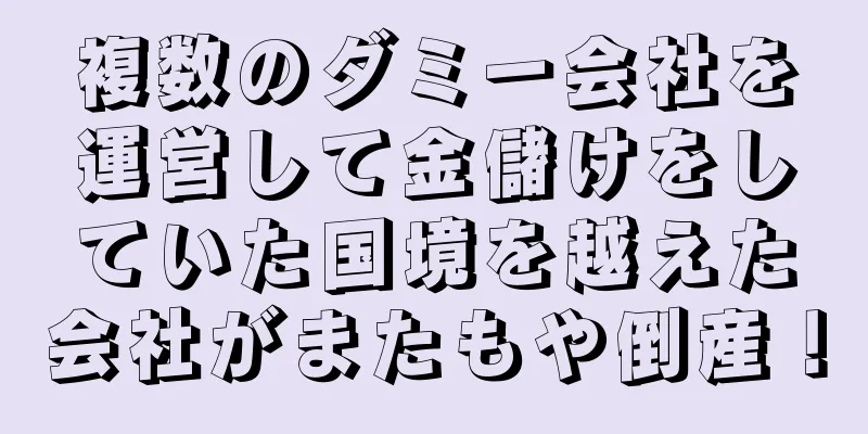 複数のダミー会社を運営して金儲けをしていた国境を越えた会社がまたもや倒産！