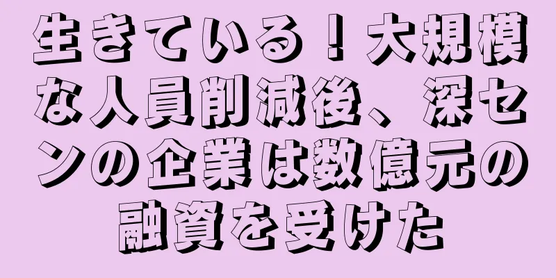 生きている！大規模な人員削減後、深センの企業は数億元の融資を受けた