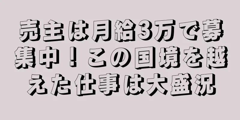 売主は月給3万で募集中！この国境を越えた仕事は大盛況