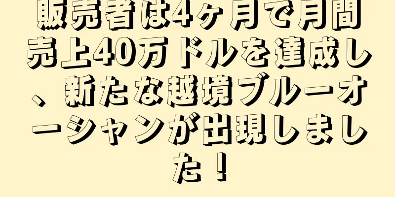 販売者は4ヶ月で月間売上40万ドルを達成し、新たな越境ブルーオーシャンが出現しました！