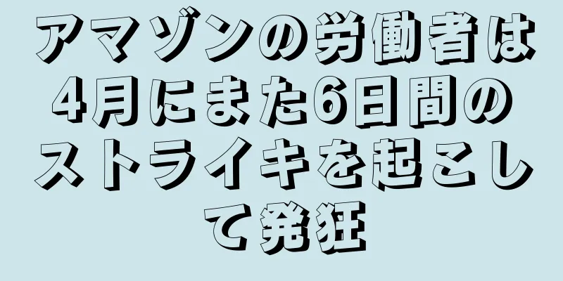 アマゾンの労働者は4月にまた6日間のストライキを起こして発狂