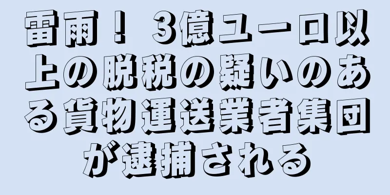 雷雨！ 3億ユーロ以上の脱税の疑いのある貨物運送業者集団が逮捕される
