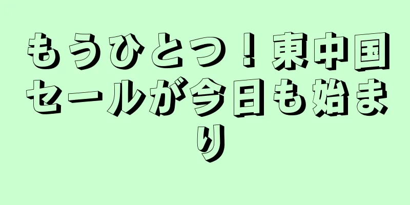 もうひとつ！東中国セールが今日も始まり