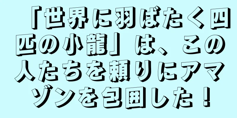 「世界に羽ばたく四匹の小龍」は、この人たちを頼りにアマゾンを包囲した！