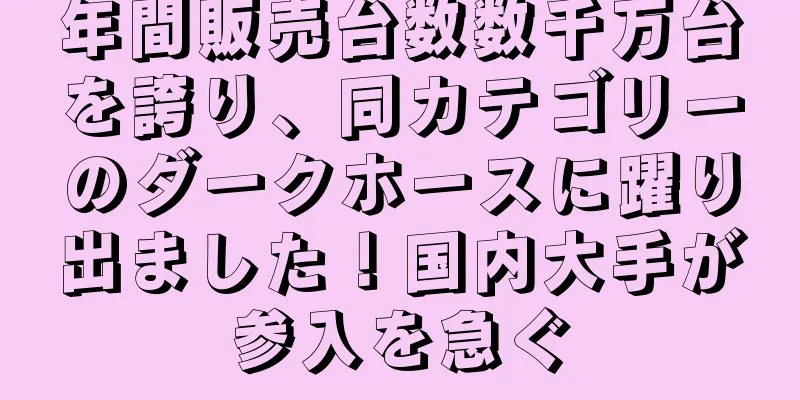 年間販売台数数千万台を誇り、同カテゴリーのダークホースに躍り出ました！国内大手が参入を急ぐ