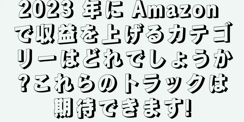2023 年に Amazon で収益を上げるカテゴリーはどれでしょうか?これらのトラックは期待できます!