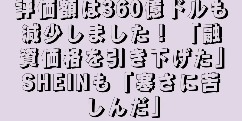 評価額は360億ドルも減少しました！ 「融資価格を引き下げた」SHEINも「寒さに苦しんだ」