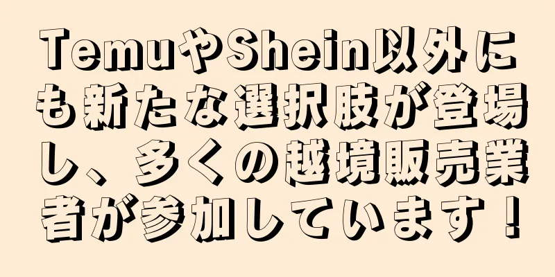 TemuやShein以外にも新たな選択肢が登場し、多くの越境販売業者が参加しています！