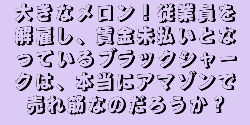 大きなメロン！従業員を解雇し、賃金未払いとなっているブラックシャークは、本当にアマゾンで売れ筋なのだろうか？