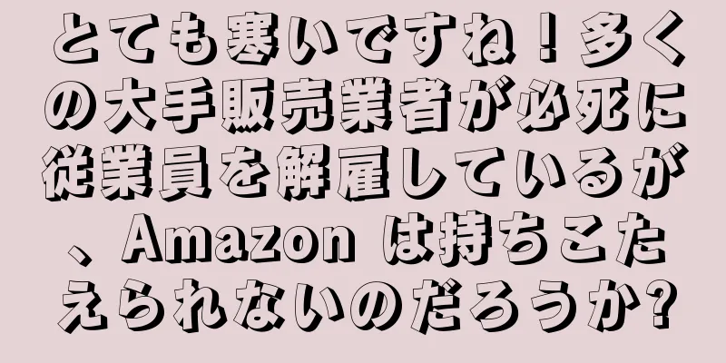 とても寒いですね！多くの大手販売業者が必死に従業員を解雇しているが、Amazon は持ちこたえられないのだろうか?