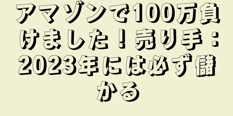 アマゾンで100万負けました！売り手：2023年には必ず儲かる