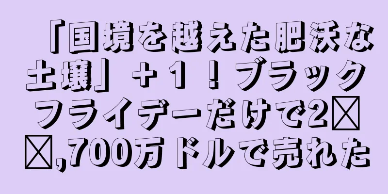 「国境を越えた肥沃な土壌」＋１！ブラックフライデーだけで2​​,700万ドルで売れた