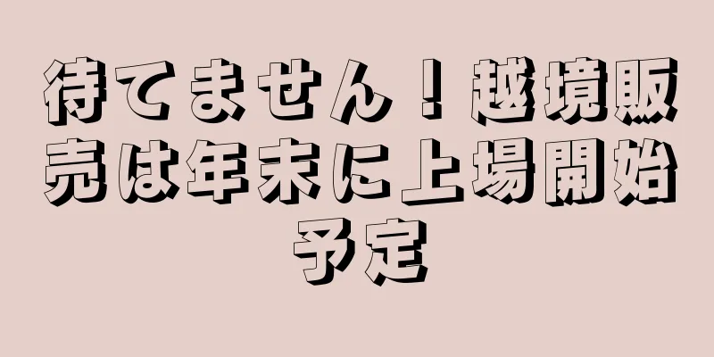 待てません！越境販売は年末に上場開始予定