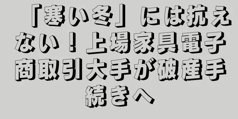 「寒い冬」には抗えない！上場家具電子商取引大手が破産手続きへ