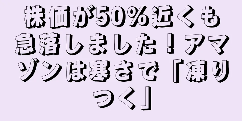 株価が50%近くも急落しました！アマゾンは寒さで「凍りつく」