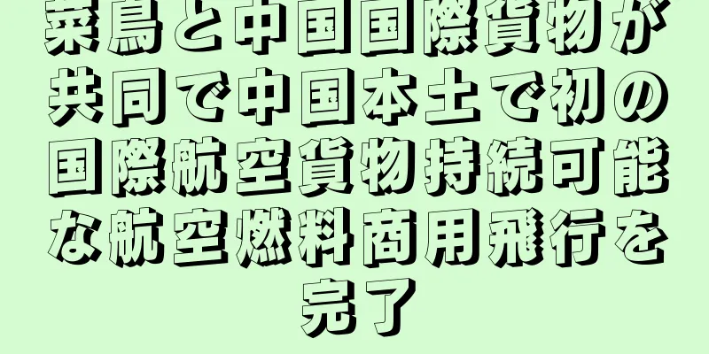 菜鳥と中国国際貨物が共同で中国本土で初の国際航空貨物持続可能な航空燃料商用飛行を完了