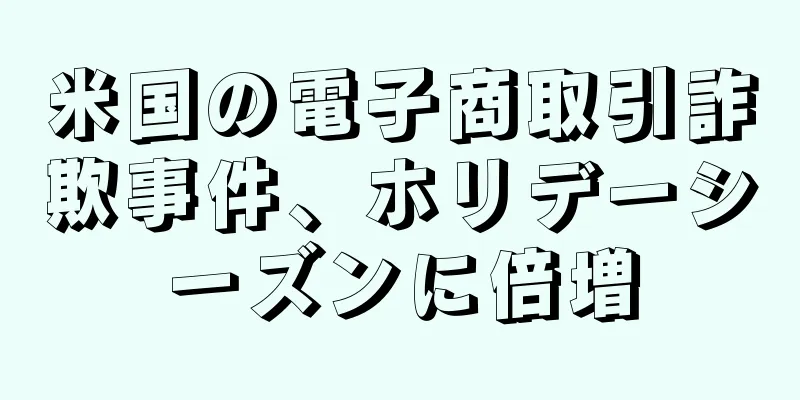 米国の電子商取引詐欺事件、ホリデーシーズンに倍増