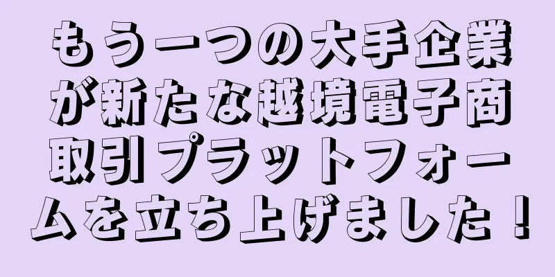 もう一つの大手企業が新たな越境電子商取引プラットフォームを立ち上げました！